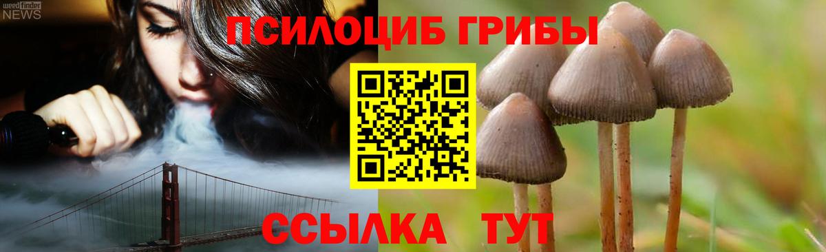 Псилоцибиновые грибы MAGIC MUSHROOMS  Вход с VPN  Кузнецк  Псилоцибиновые грибы ЛСД 