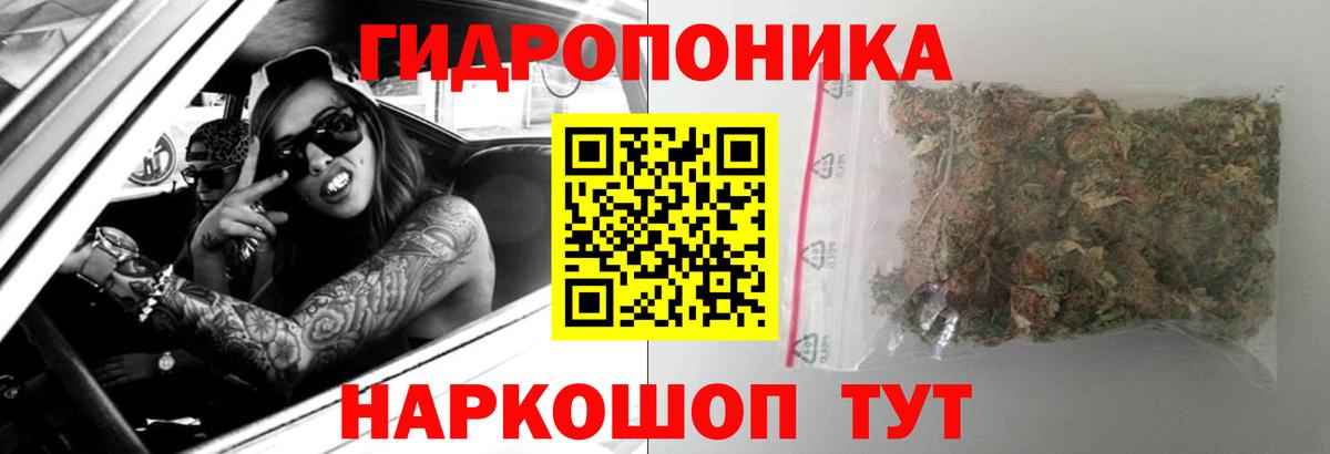 Марихуана марихуана  Конопля тримм  Вход с VPN  Каннабис Bruce Banner  Кузнецк  Бошки Шишки гибрид 